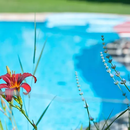 מלון Business Parkhotel Werth 4*