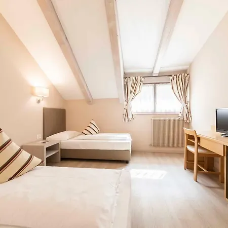 Business Parkhotel Werth בולצאנו