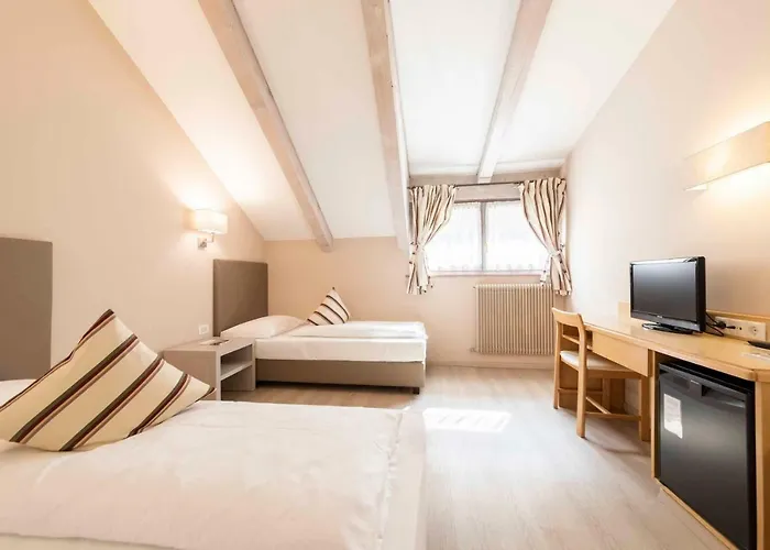 Business Parkhotel Werth בולצאנו